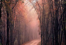 川崎前锋战胜鹿岛鹿角，展望即将到来的挑战