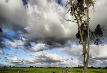 赫塔菲期待在主场击败马德里竞技