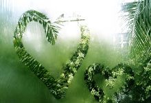 捷克队实力超群，欧锦赛披荆斩棘