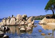 水晶宫客场大败，遭遇连败困顿不得自由